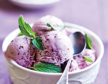 Blueberry Ice Cream - Nuwave
