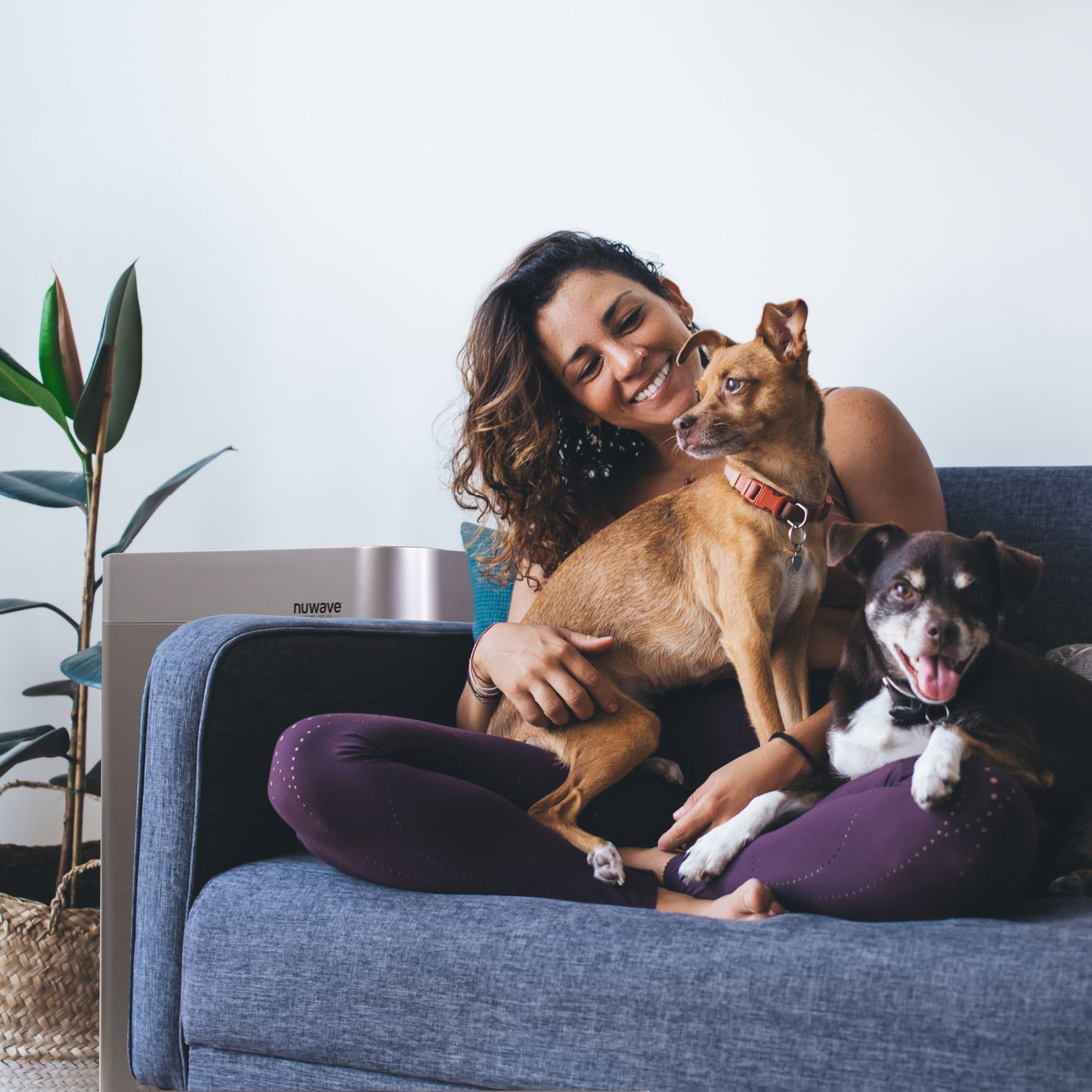 NuWave OxyPure Air Purifier Creates Clean Indoor Air for Pets and Families