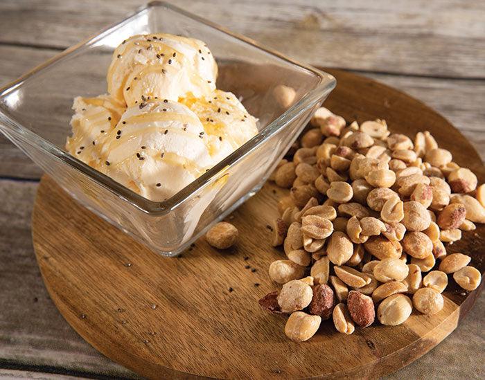 Honey-Nut Sorbet - Nuwave