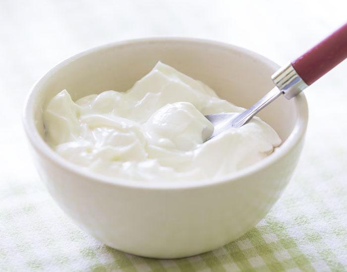 Homemade Yogurt - Nuwave