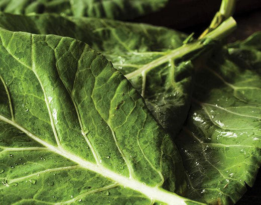 Collard Greens with Chorizo & Garlic - Nuwave
