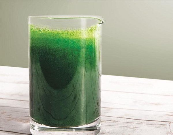 Green Gainer Shake - Nuwave