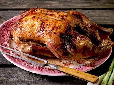 Roast Goose with Caramelized Apples - Nuwave