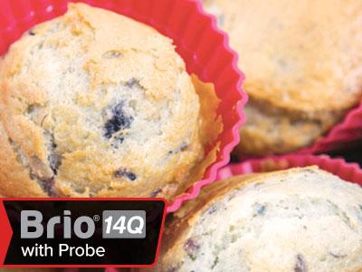Easy Blueberry Muffins - Nuwave