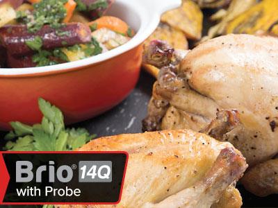 Game Hens with Roasted Root Vegetables - Nuwave