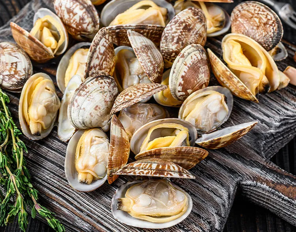 Steamed Clams