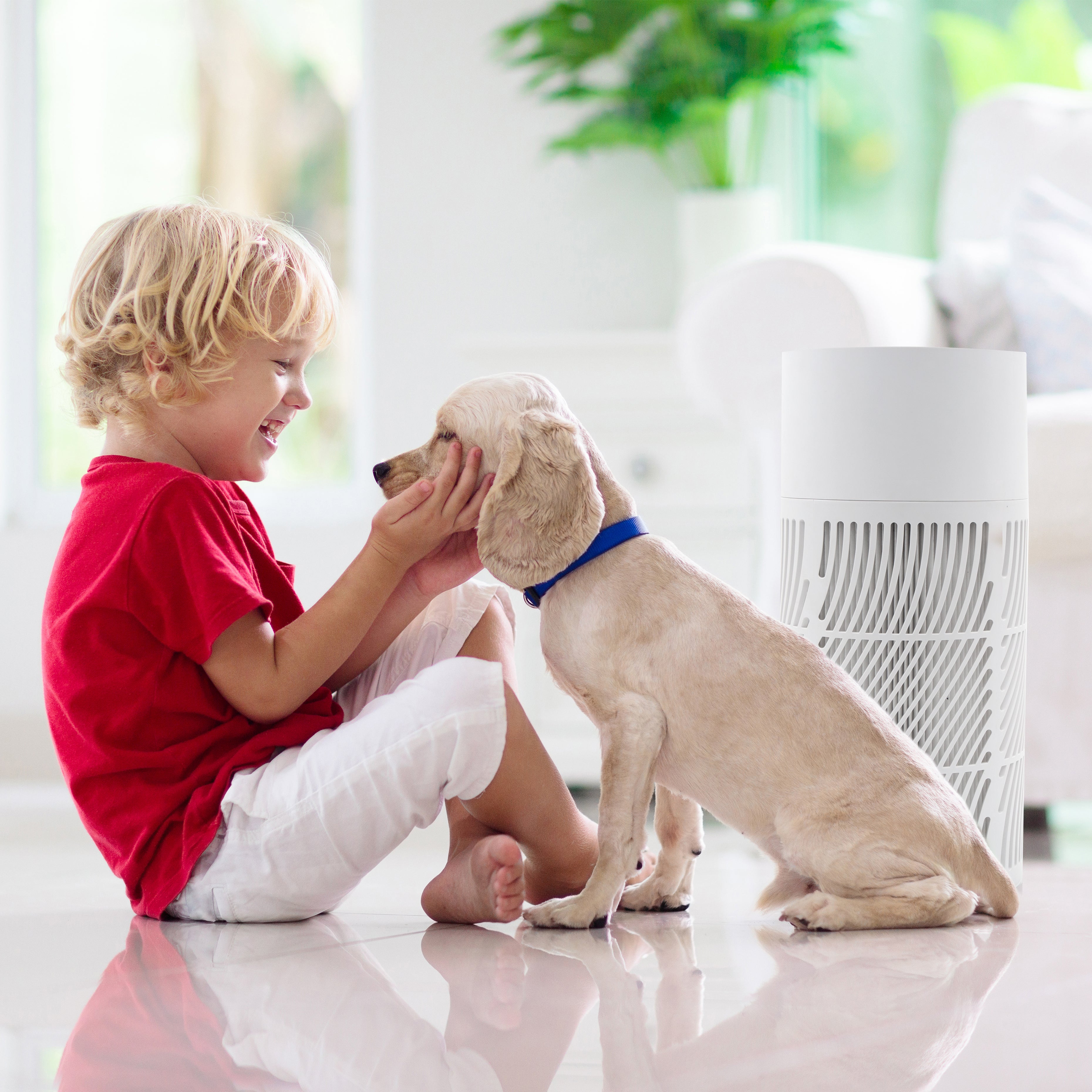 A boy is playing with a dog while the Oxypure HEPA air purifier cleans the room