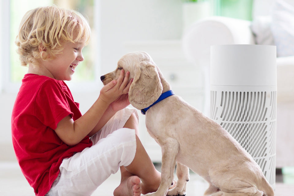 A boy is playing with a dog while the Oxypure HEPA air purifier cleans the room