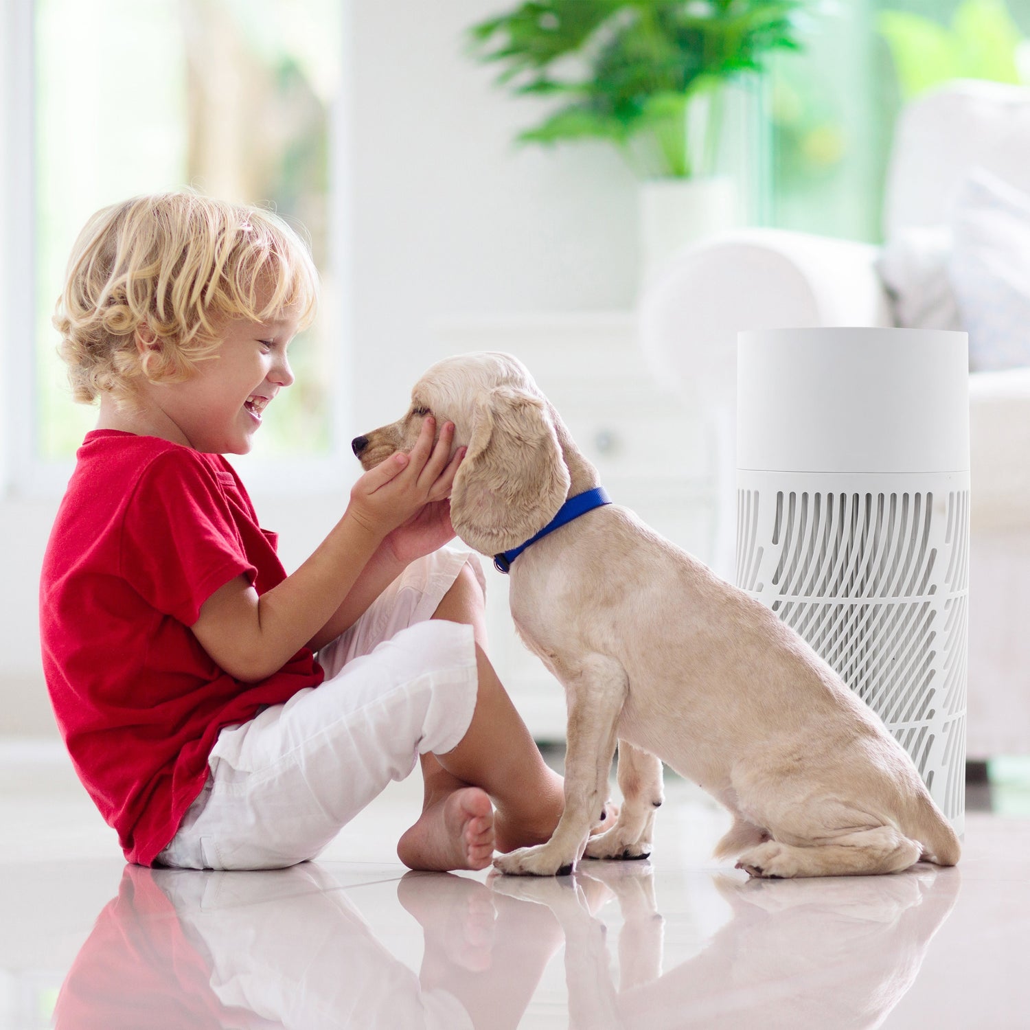 A boy is playing with a dog while the Oxypure HEPA air purifier cleans the room