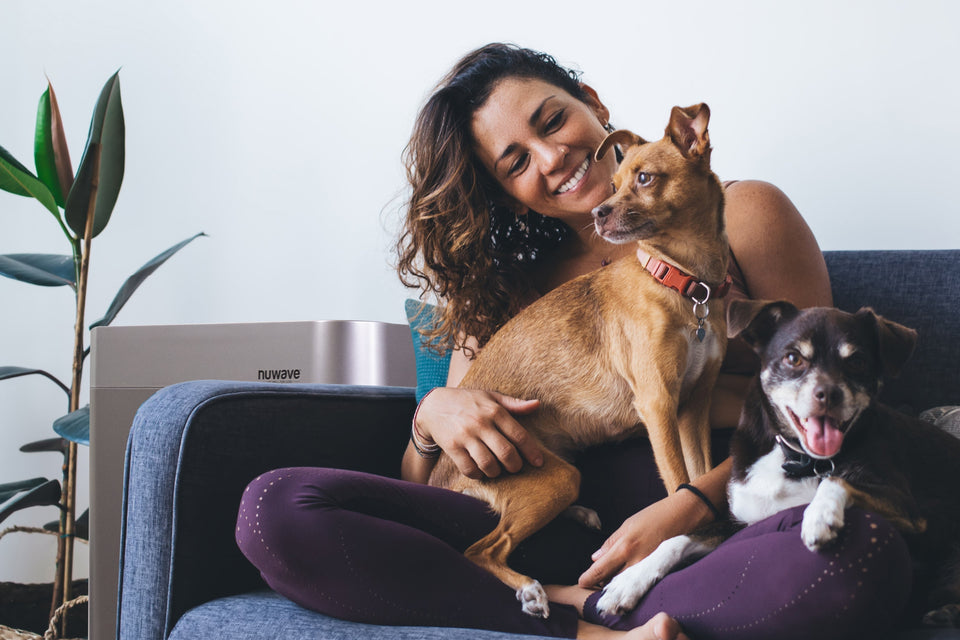 NuWave OxyPure Air Purifier Creates Clean Indoor Air for Pets and Families
