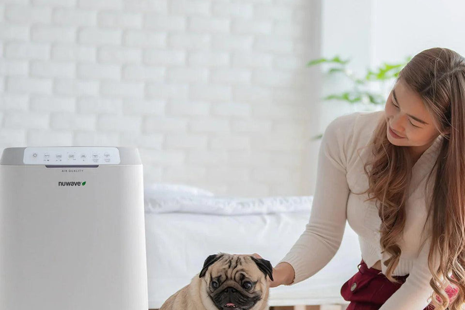 A woman and her dog enjoying clean and fresh air with the NuWave OxyPure Zero Air Purifier.