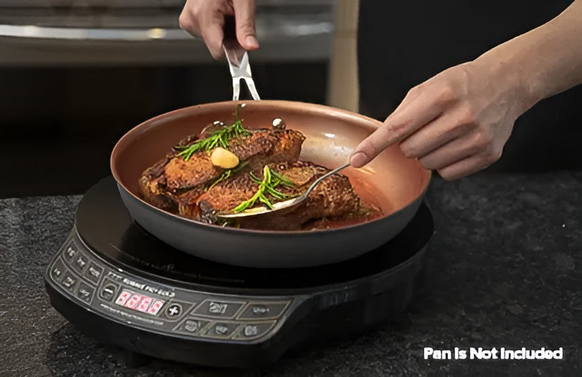 Nuwave PIC Flex for Portable Cooking