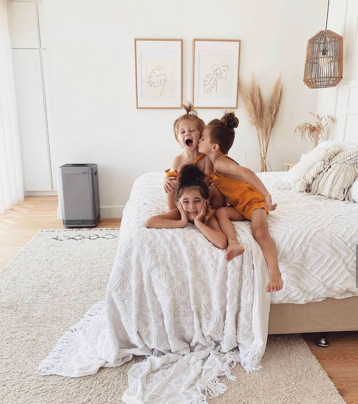 Do Home Air Purifiers Work? Clearing the Air for Homeowners