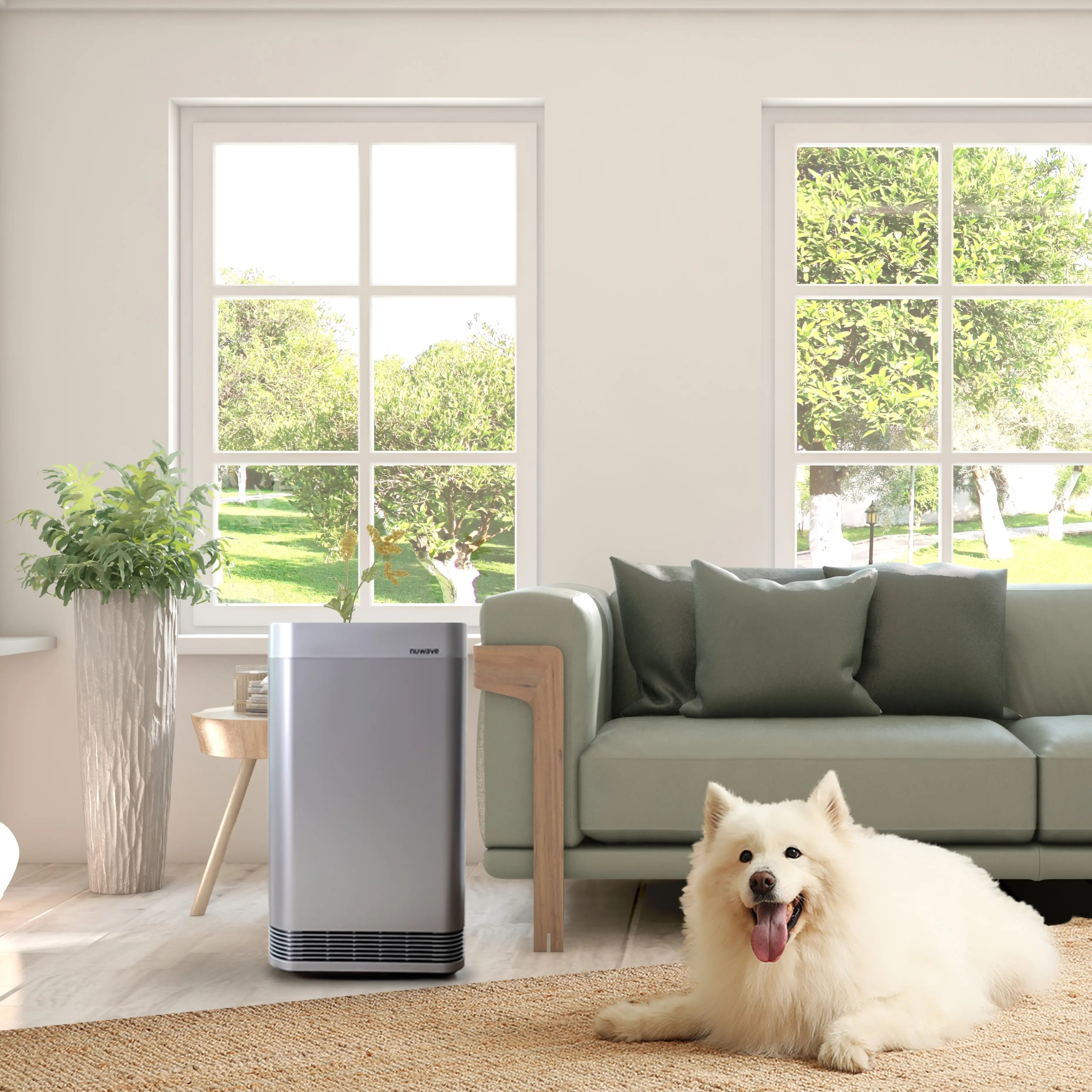 Size Does Matter: Choosing the Right Air Purifier Size for Your Pets