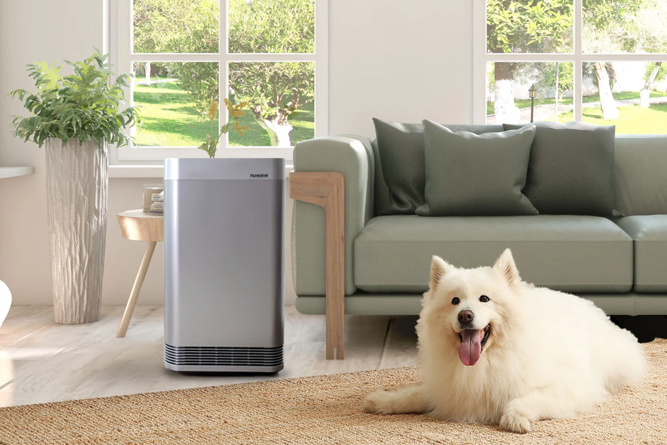 Size Does Matter: Choosing the Right Air Purifier Size for Your Pets