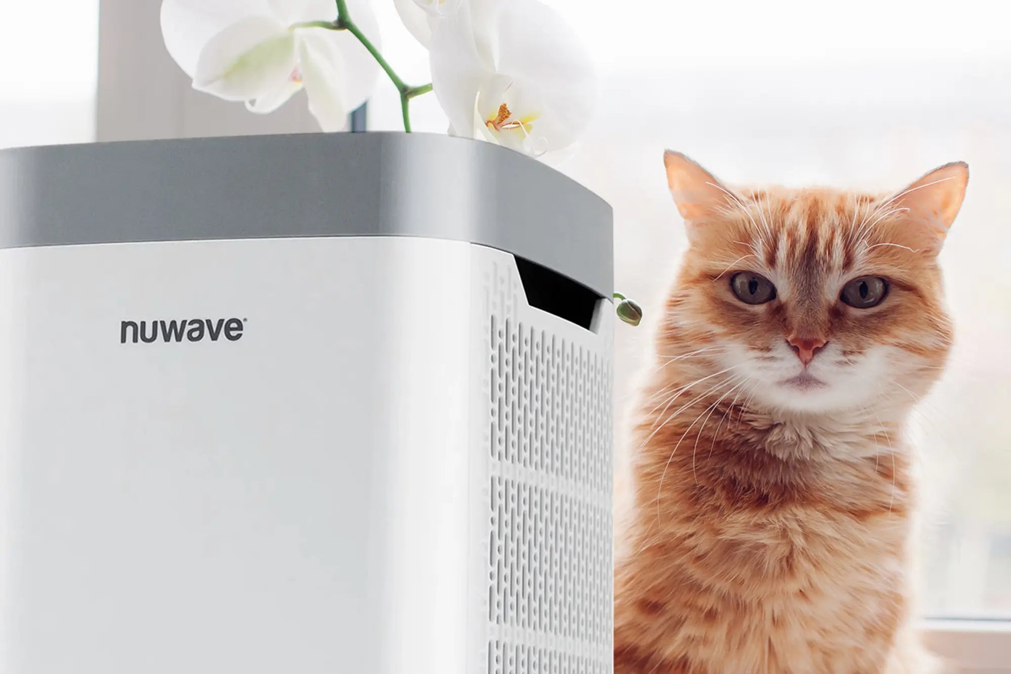 Comprehensive Buying Guide for the NuWave OxyPure HEPA Air Purifier for Cat Allergies