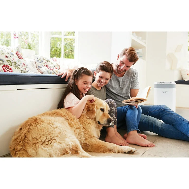 The Best Home Air Purifier for Pets: Why Your Home Needs One