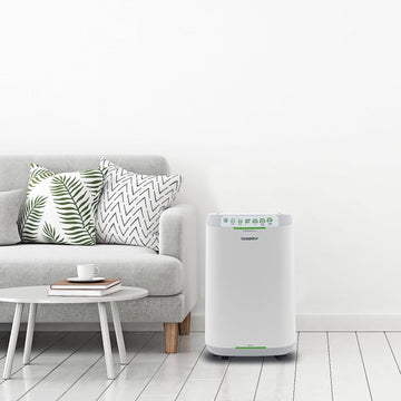 Get A Smart Air Purifier | Embrace Innovation for Healthier Living