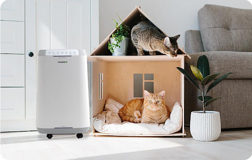Air purifier next to a cat house with a cat and a cat lying inside, showcasing a clean home environment.